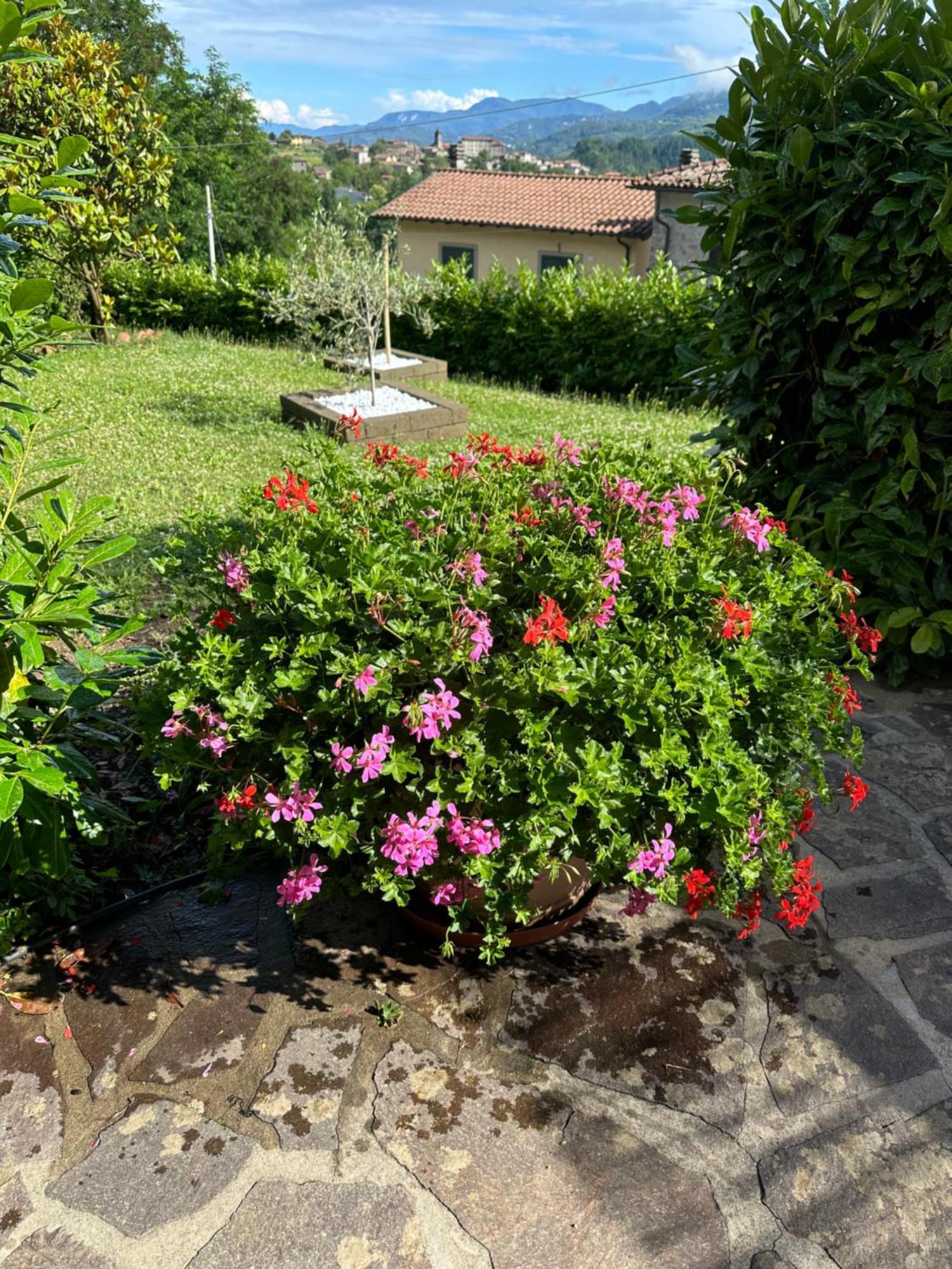 Casa Margherita Celide San Romano Buitenkant foto
